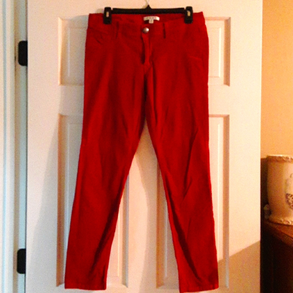 CAbi - cute ultra cord jean